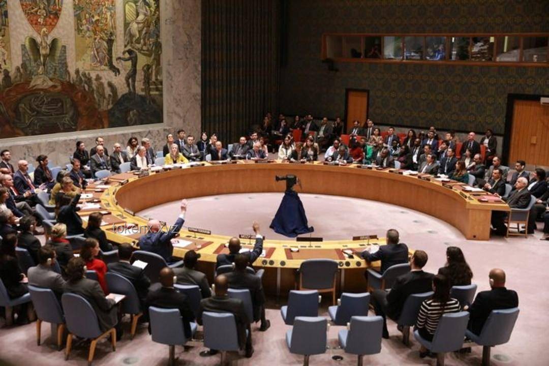 美国一票否决加沙人道决议草案：理解影响与应对